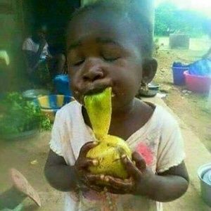 Meet your Posher, Tegist