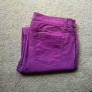 Purple Loft Jeans