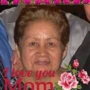 Meet your Posher, Millie