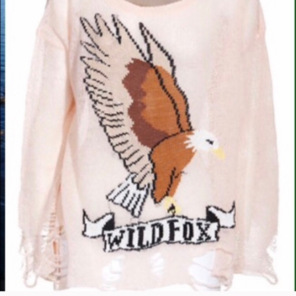 Mesh sweater Wildfox