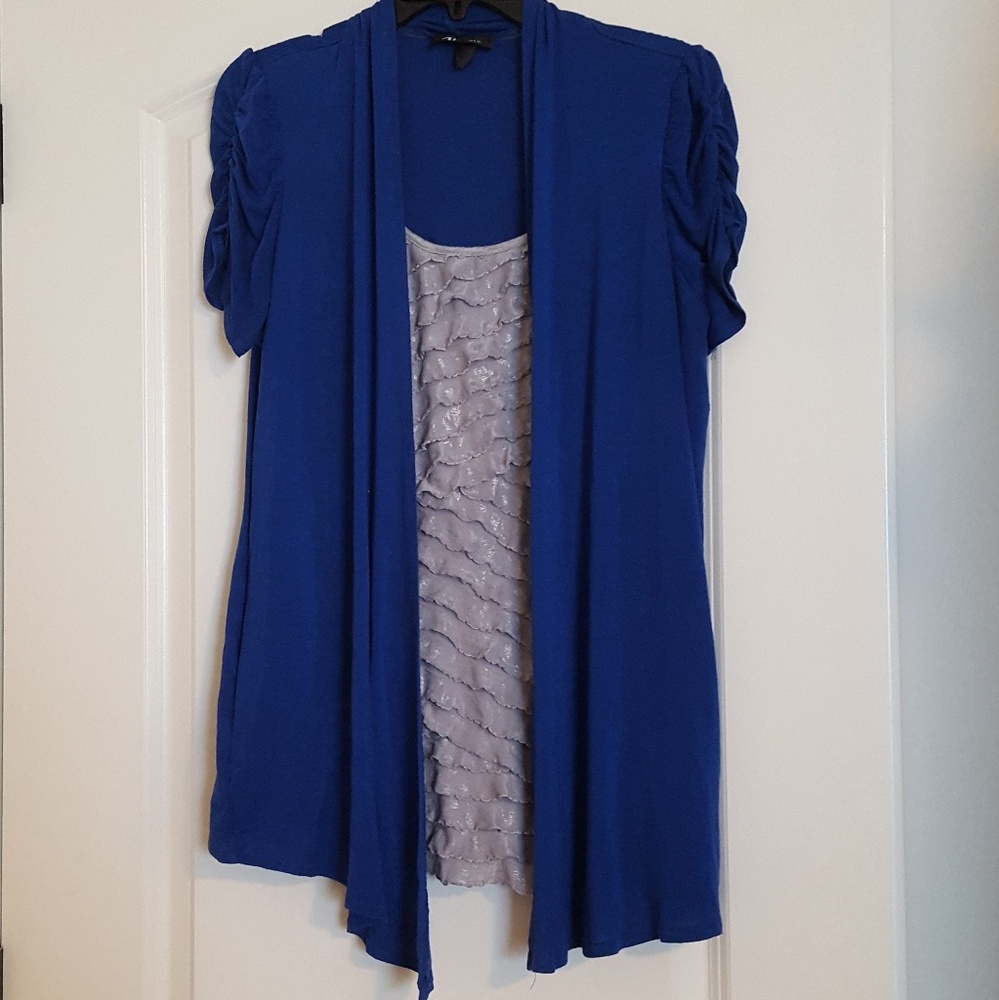 One piece blue and silver blouse ruched sleeves