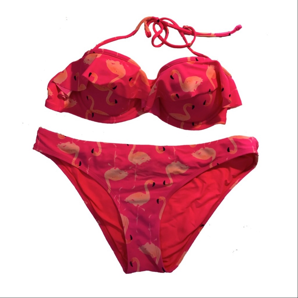 Aerie Pink Flamigo Ruffle Push-up Top and Bottom