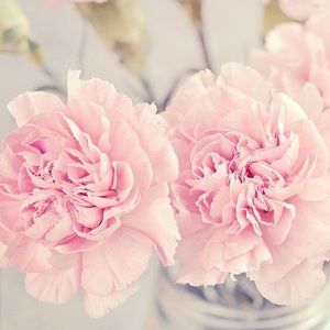 DO NOT TRUST PEOPLE WITH CHECKS