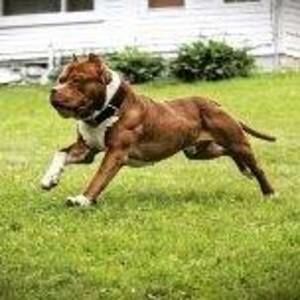 Meet your Posher, Jade