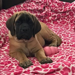 Meet your Posher, Heather