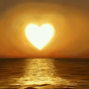 Meet your Posher, Darlene