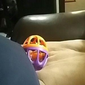 Meet your Posher, Patsy