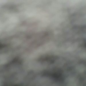 Meet your Posher, Francisco