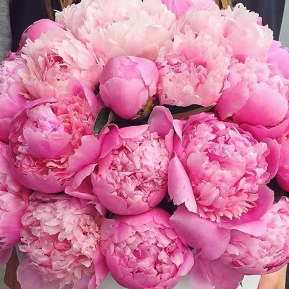 Meet your Posher, Beyond