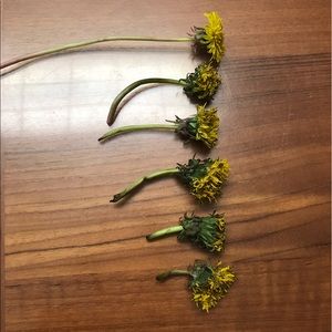 Meet your Posher, Kaying