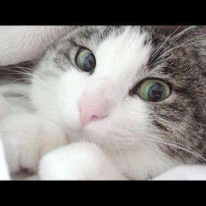 Meet your Posher, Elaine