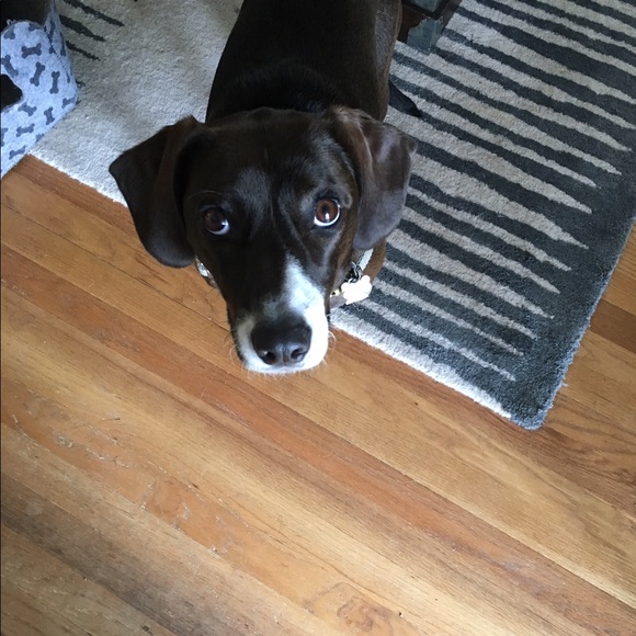 Meet your Posher, Maureen - Picture 1 of 1