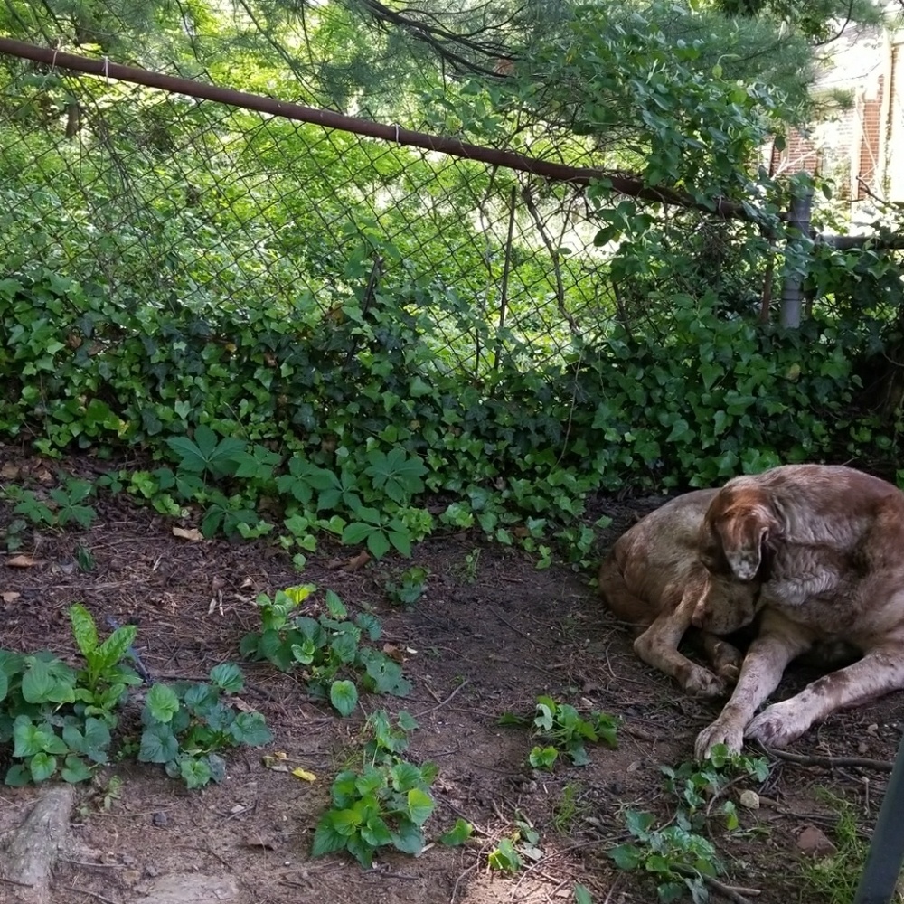 Meet your Posher, Eliza