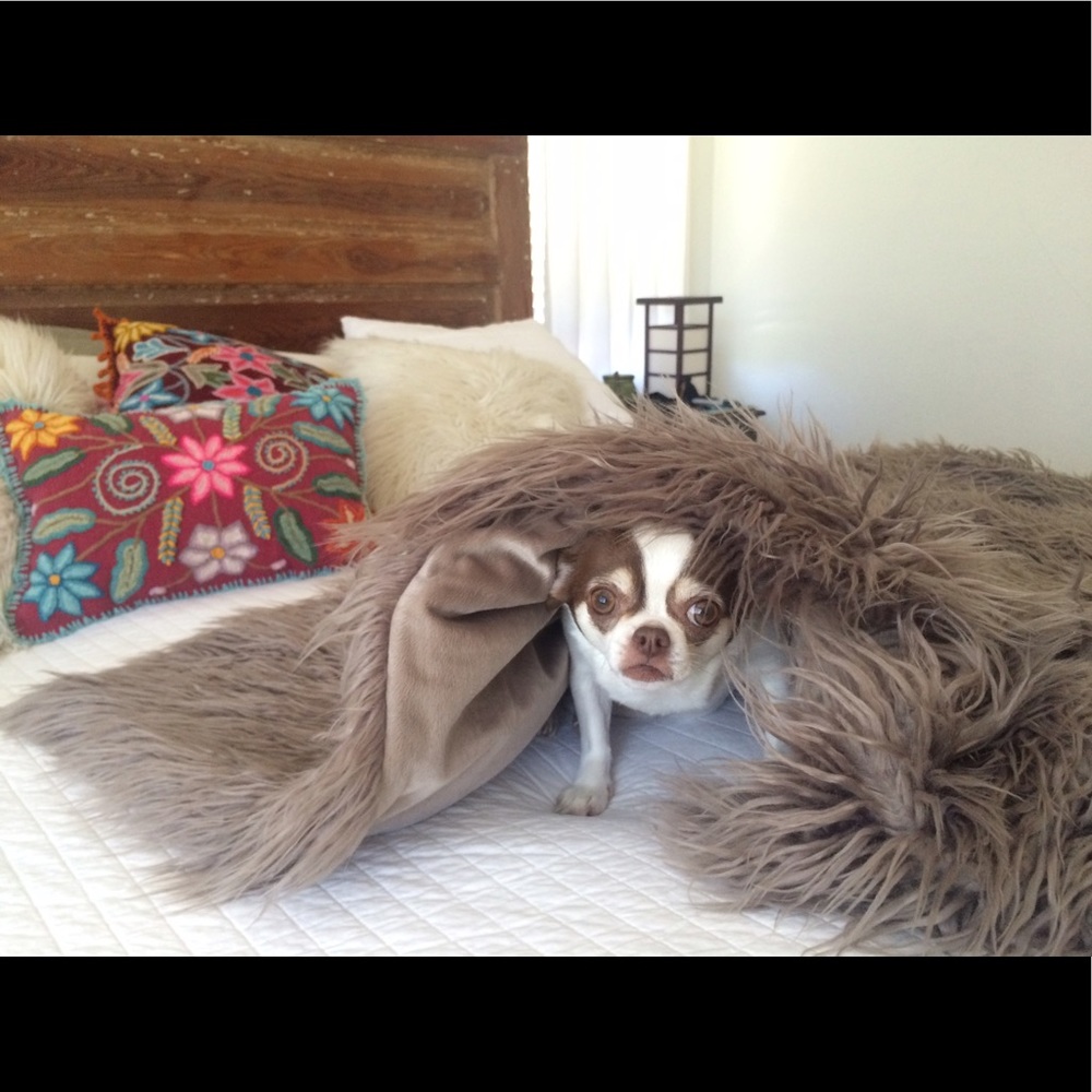 Meet your Posher, Ximena