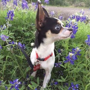 Meet your Posher, Heejin