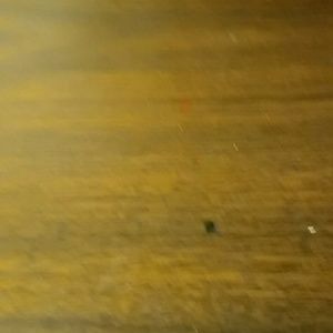 Meet your Posher, Camille