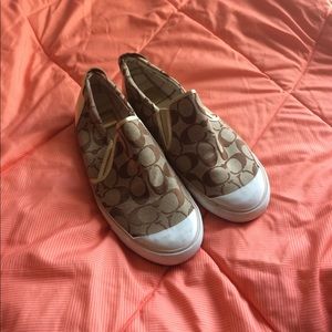beale slip on sneaker