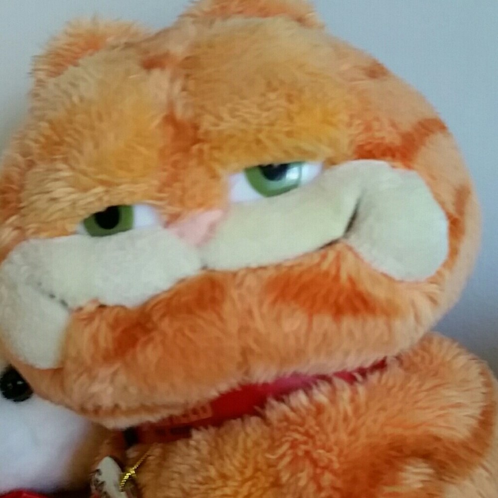 Meet your Posher, Dawn