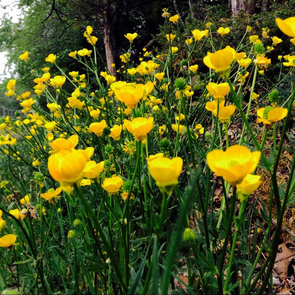 Meet your Posher, Tabitha