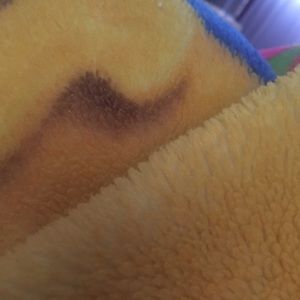 Meet your Posher, Deandra