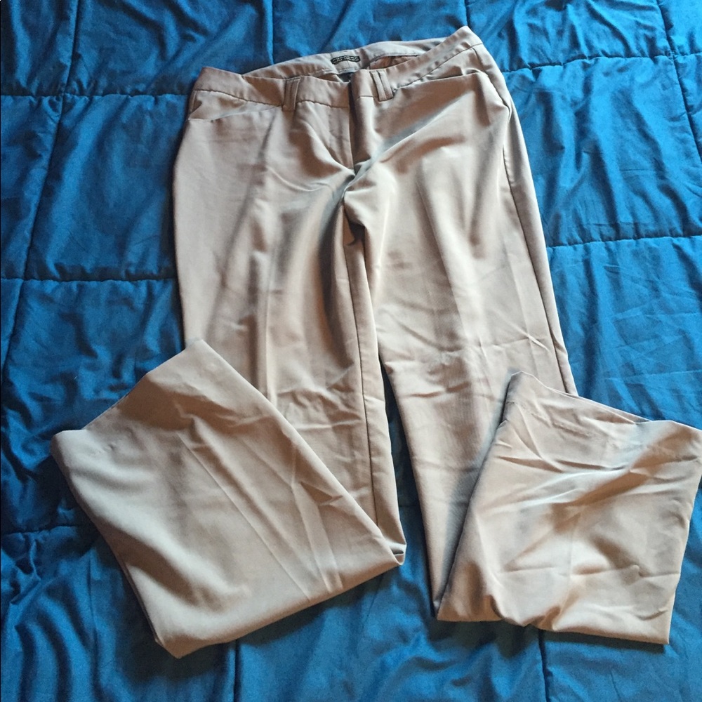 Express dress pant