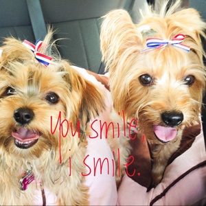 Meet your Posher, Mia