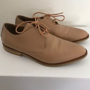 Everlane Modern Oxford