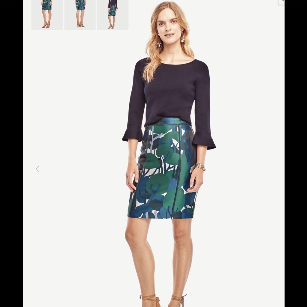 Ann Taylor pencil skirt - Picture 2 of 7