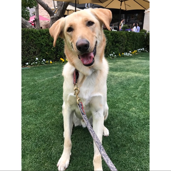 Hello! my name is Mattie ... ππΌβπΌππΌ - Picture 2 of 2