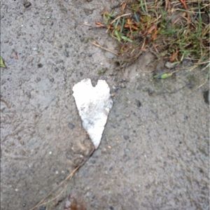 Meet your Posher, Heide