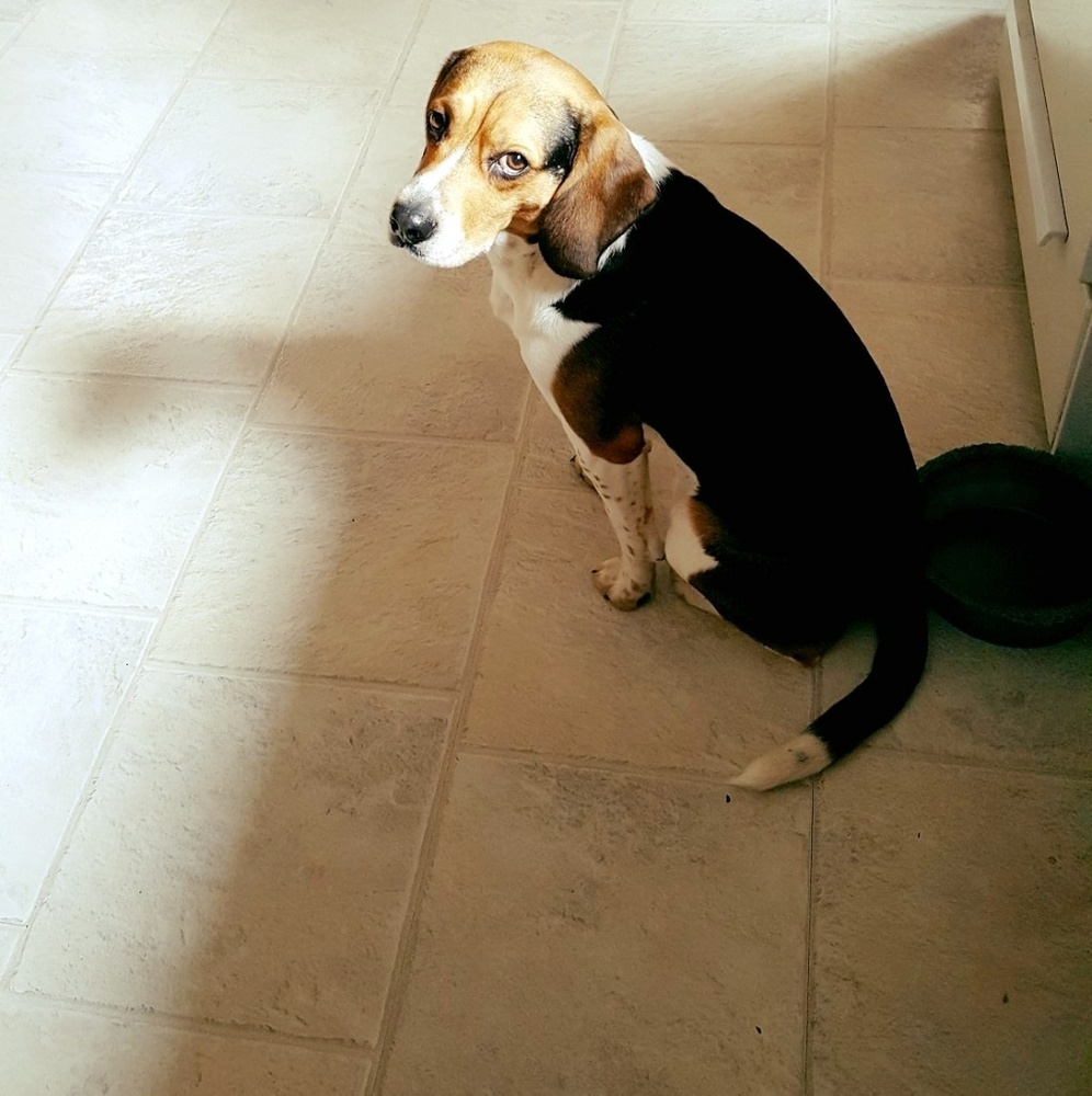 Meet your Posher, Cindy