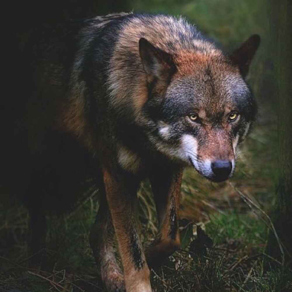 Meet your Posher, Briana