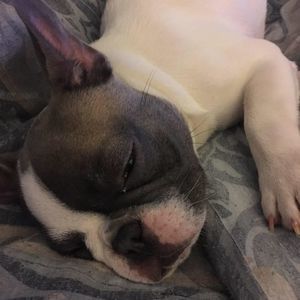 Meet your Posher, Ern