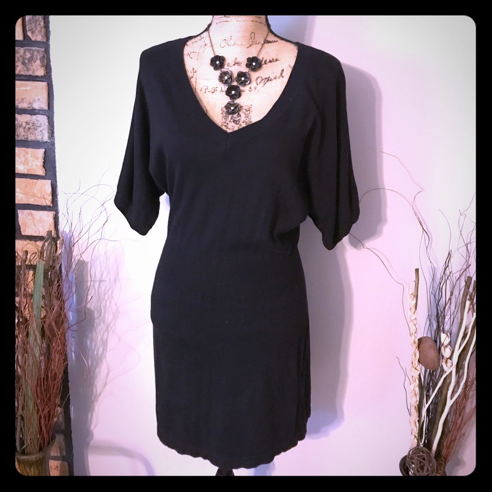 Express Sweater Dress
