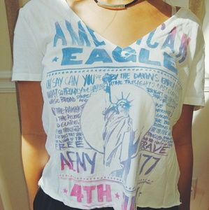 AEO wide vnecm cropped tee