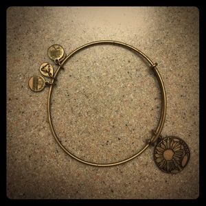 Alex & Ani "niece" bangle