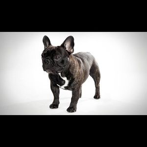 Meet your Posher, Stefanie