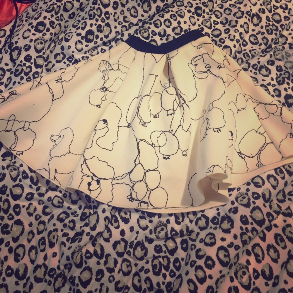 H&M Skirt