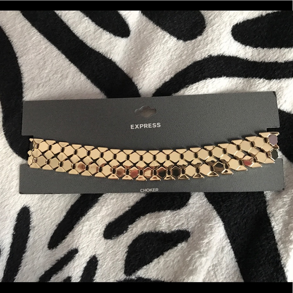 NWT Express Gold Choker