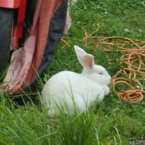 Meet your Posher, Yolanda