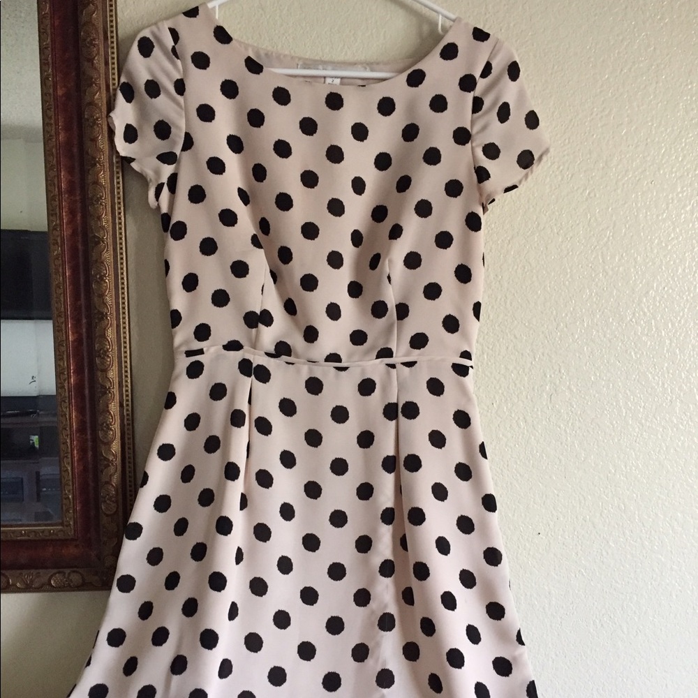 Lauren Conrad Polka dot dress