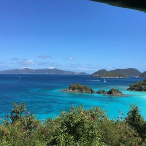 Meet your Posher, Casey