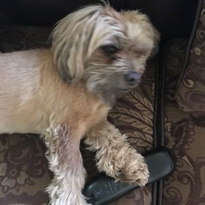 Meet your Posher, Sarai