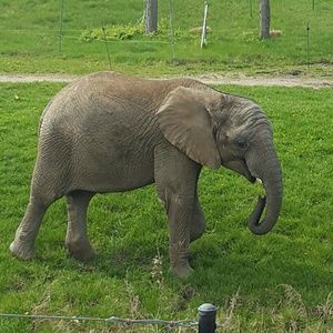 Meet your Posher, Krystina