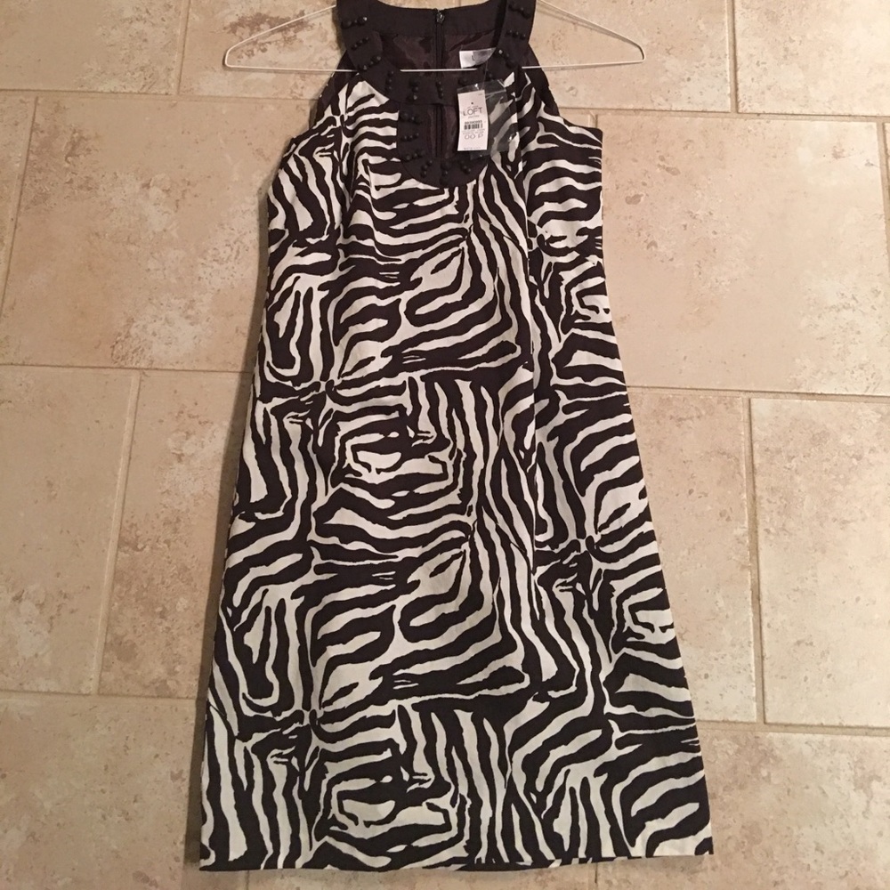 OO petite dress