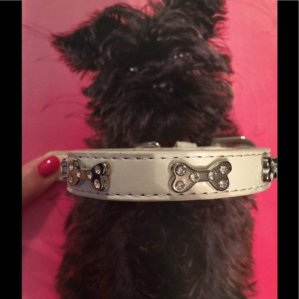 Collar White W/Rhinestone Bone Studs (S, M, L)