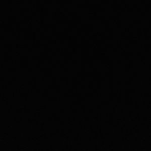 Meet your Posher, Delaney