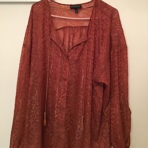 Sheer tunic never worn
