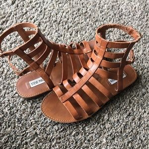 Steve Madden Gladiator sandals