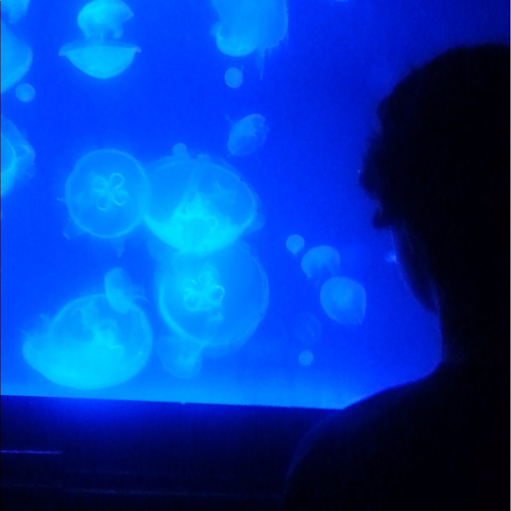 Meet your Posher, Nadire